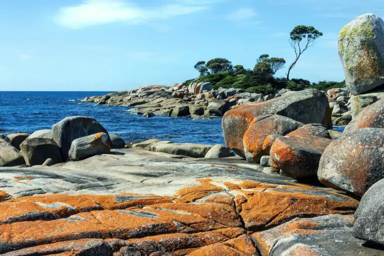 things to know before visiting tasmania